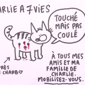 CHARLIE touché mais pas coulé ! - Images du Beau du Monde