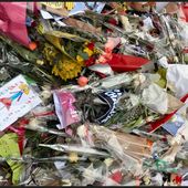 Charlie Hebdo : hommages fleuris, souvenirs... - Images du Beau du Monde