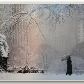 Neige rue de Seine à Paris... - Images du Beau du Monde