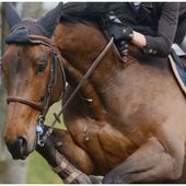 Jumping international : le Derby de Compiègne - Images du Beau du Monde