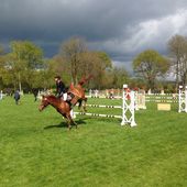 Jumping à Compiègne, suite... - Images du Beau du Monde