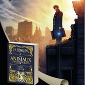 Les Animaux Fantastiques| Texte du Film| J.K. Rowling