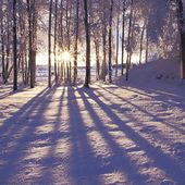 Solstice immaculé