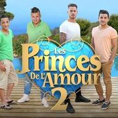 Bilan d'audience des Princes de l'amour saison 2. - LeBlogTvNews