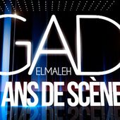 Gad Elmaleh : 20 ans de scène, le samedi 16 mai sur TF1. - LeBlogTvNews