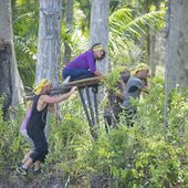 Audience et replay de Koh-Lanta diffusé le 8 mai sur TF1. - LeBlogTvNews