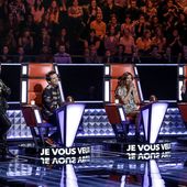 Premier teaser vidéo avec une des voix de The Voice saison 5. - LeBlogTvNews