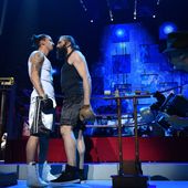 Le 11 mars sur TF1, Les Enfoirés à Bercy : photos du concert. - LeBlogTvNews