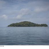 Echec d'audience pour The Island saison 2 sur M6 (replay). - LeBlogTvNews