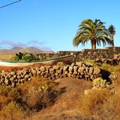 Ce vendredi dans Thalassa, "on ira tous aux Canaries" !