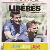 Sans surprise, carton d'audience pour France - Eire dimanche - LeBlogTvNews