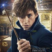 Box-office aux États-Unis : sans surprise, carton pour Les animaux fantastiques ! - LeBlogTvNews