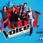 Sympathy for the devil interprété par les 4 coachs de The Voice (vidéo). - Leblogtvnews.com