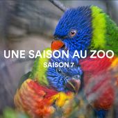 Une saison au zoo, sur France 4 : dès le 4 avril, la saison 7. - Leblogtvnews.com