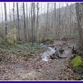 Rando du Téléthon à Chavanay (42)
