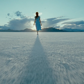 "Gone Girl", une envie de changement !!! - Le blog de christianbalefan