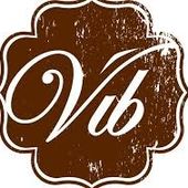 Nouveau réseau de bus de Vierzon (3) : les logos du Vib auxquels vous avez échappé - Vierzonitude