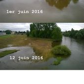 A Vierzon, le bras mort se vide peu à peu de ses eaux - Vierzonitude