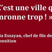 L'opposition vierzonnaise secoue le sapin avant Noël ! - Vierzonitude