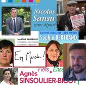 Législatives : la deuxième circonscription de tous les dangers - Vierzonitude