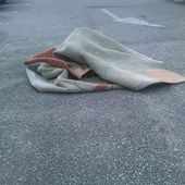 Aladin victime d'un accident de tapis sur le parking Gourdon - Vierzonitude