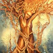 Symbole de l'arbre - LE BLOG DE ROSIE