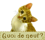 UNE BONNE IDEE POUR NOS AMIS POILUS...