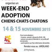 WEEK-END ADOPTION DE LA PATTE DE L'ESPOIR