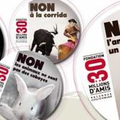 Le refuge ASF participe à la campagne contre les abandons de 30 millions d'amis