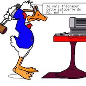 POUR LES BLOGUEURS - TE HOA NO TE NUNAA