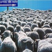 PRÉSIDENTIELLE 2017 - TE HOA NO TE NUNAA