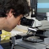 Des scientifiques découvrent que le jeûne déclenche la régénération des cellules souches et combat le cancer