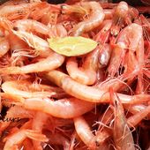 Préparation des crevettes et de leur bouillon - Le Sésame Des Saveurs