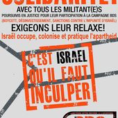 Procès des militants BDS de Montpellier. La plainte mystère du MRAP - Le blog du vieux singe