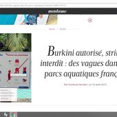 Un ancien responsable antiraciste recycle les infos du Front national - Le blog du vieux singe