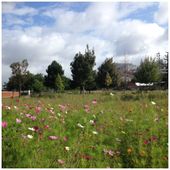 73ème troc livres aux jardins Eole samedi 20 septembre 2014