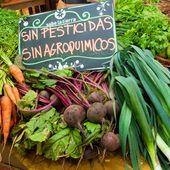 Productos Orgánicos: dónde y cómo comprar - Escabullidos