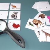 Les continents et les animaux