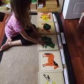 Classification des animaux (2) - Les ateliers de Céleste