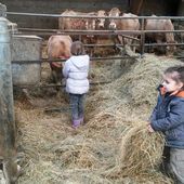 De l'herbe au beurre - Les ateliers de Céleste