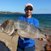 méditerranée surfcasting daurades Pescador 13 Team Awa-shima