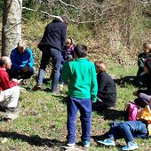 Pour les Journées Internationales des forêts à Vira 3ème partie - l'exposition de l'entre-fêtes