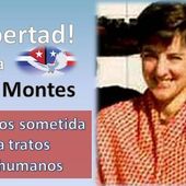 Une nouvelle action pour Ana belén Montés - Analyse communiste internationale