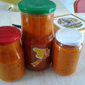 Coulis de tomate au thermomix - La cuisine de poupoule