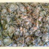 Pizza courgettes oignons - La cuisine de Poupoule