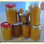 Confiture de prune jaune au thermomix - La cuisine de poupoule