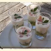 Verrine de concombre au citron et fromage blanc au thermomix - La cuisine de poupoule