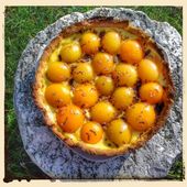 Tarte aux abricots au thermomix - La cuisine de poupoule