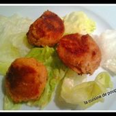 Boulettes de thon au thermomix ou sans - La cuisine de poupoule