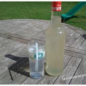 Sirop de citron maison - La cuisine de poupoule